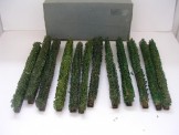 Hornby Gauge 0 12 Hedges, Boxed