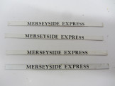 Replica Hornby Gauge 0 Coach Destination Boards